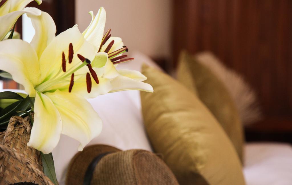 Charming Homestay Hoi An Exterior photo