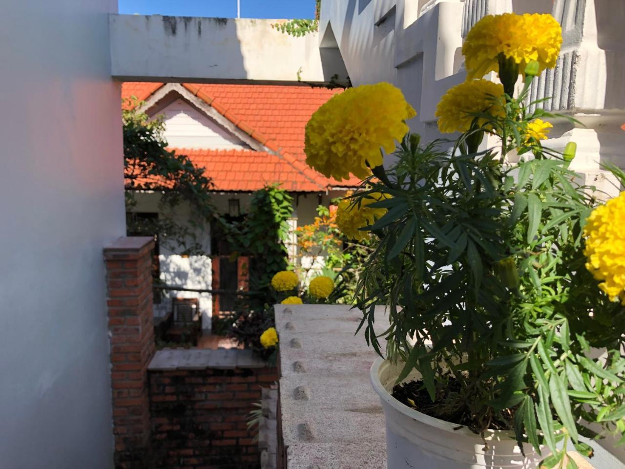 Charming Homestay Hoi An Exterior photo